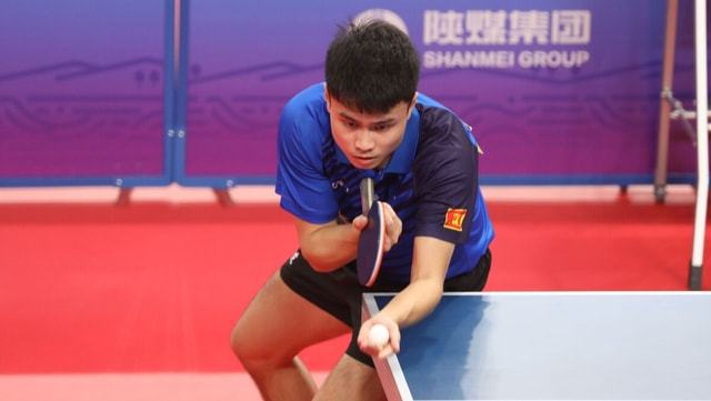 稳健的能力 稳健的能力