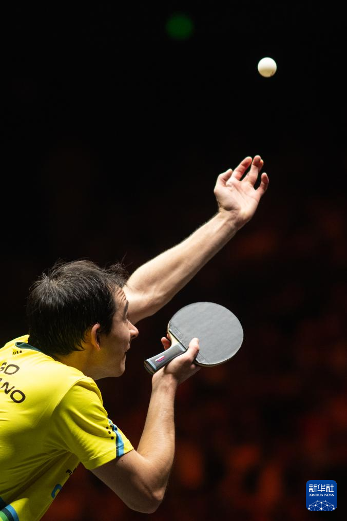 进行适应性 进行适应性