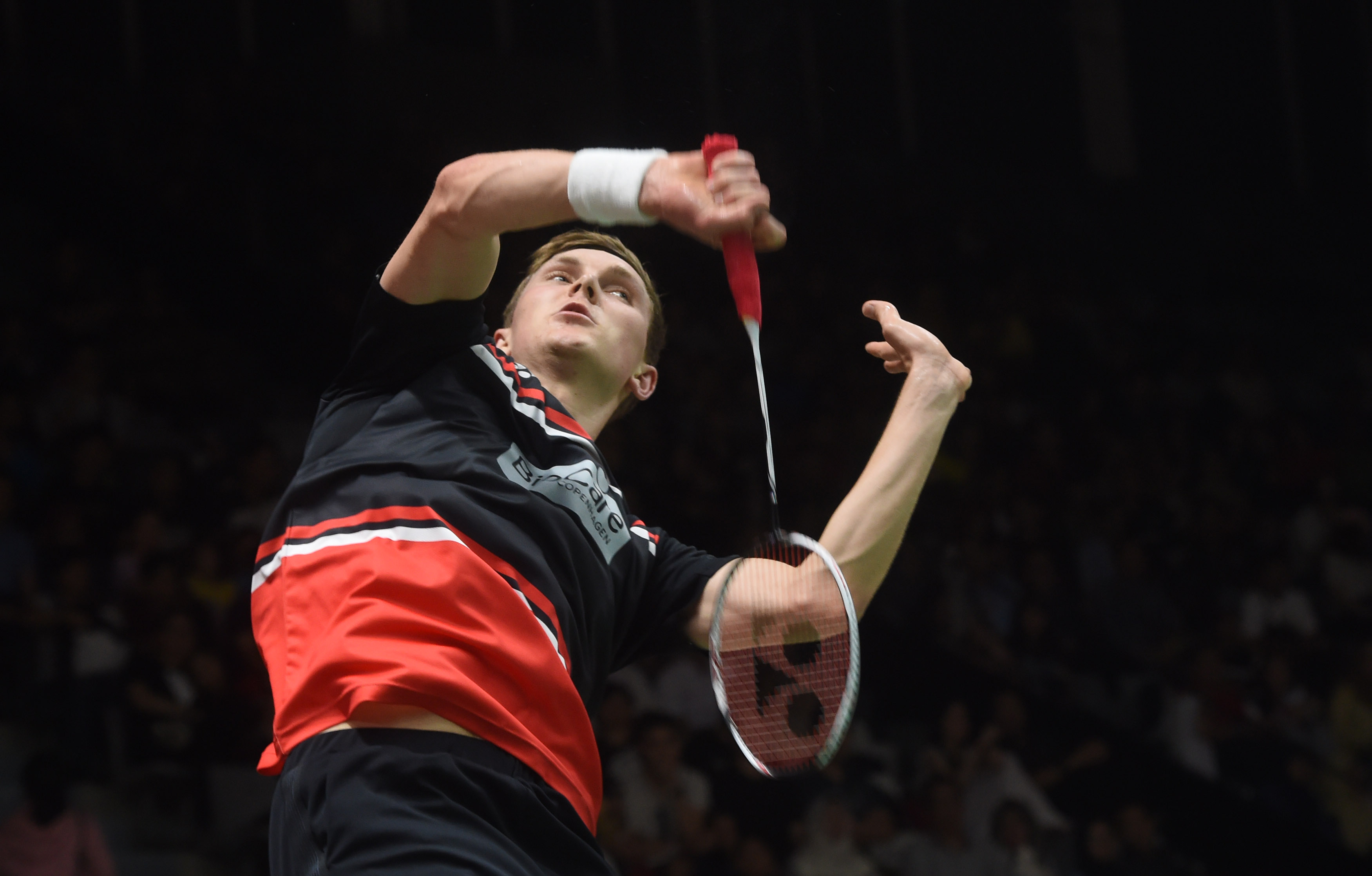 社交媒体上 社交媒体上